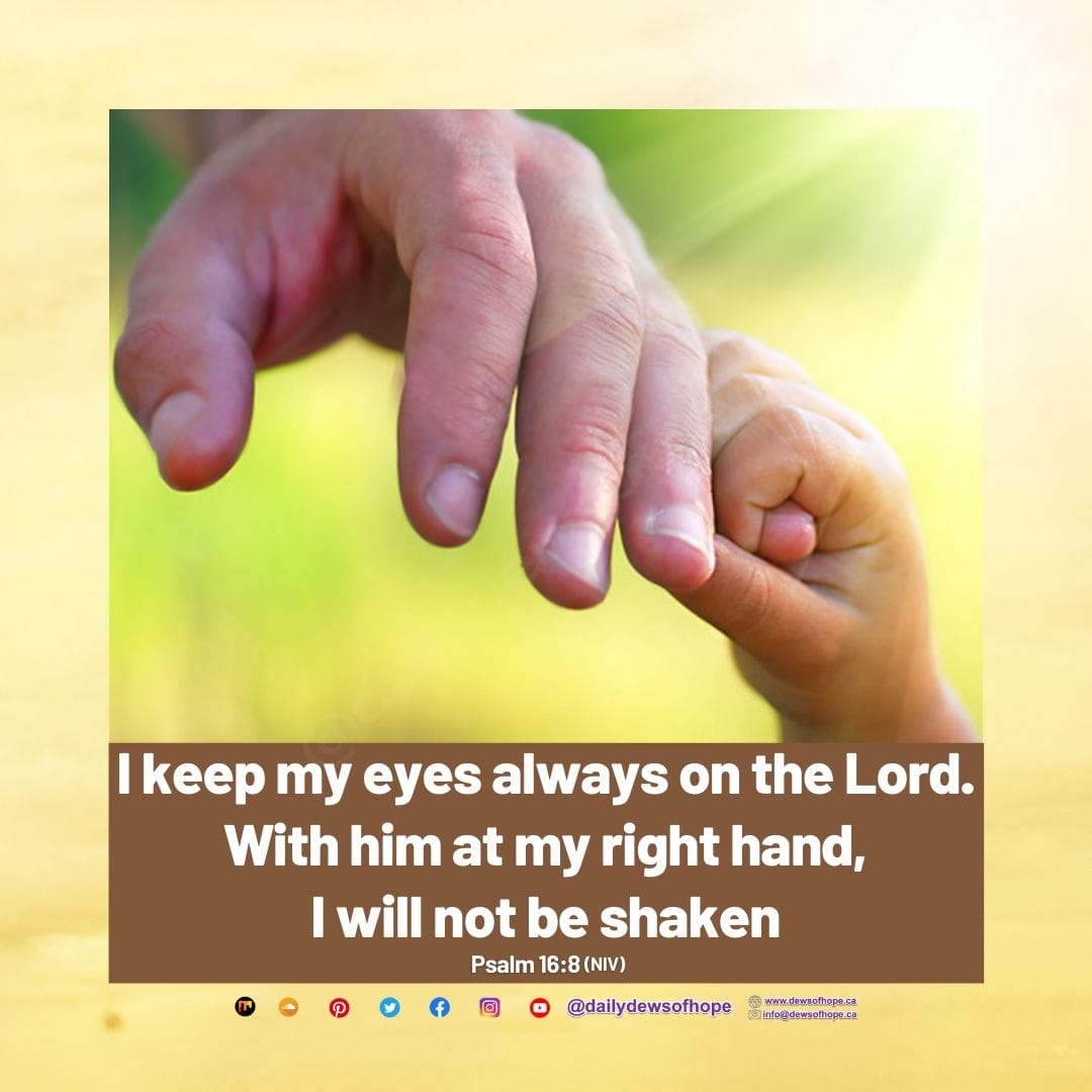 31 July 2021 - Daily Dews of Hope