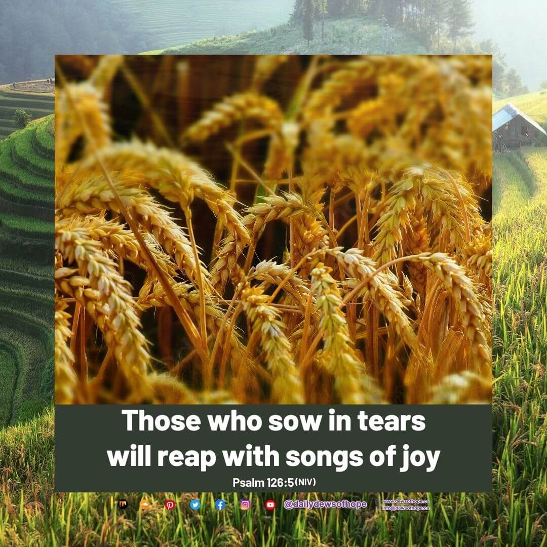 10 August 2021 - Daily Dews of Hope